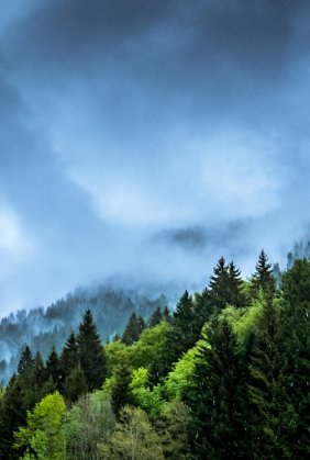 Acclimate - Accelerating Climate Action: Navigating Towards a Low-emissions, Climate-resilient Future