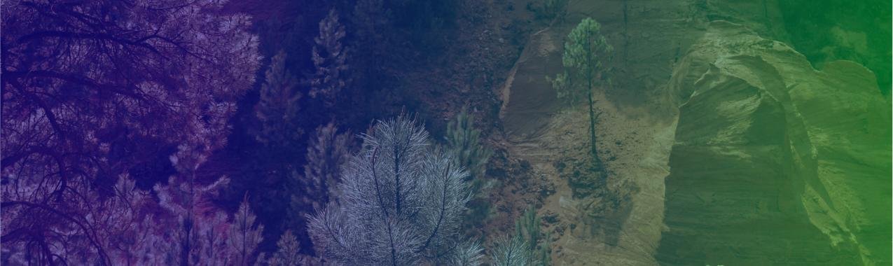 Acclimate - Accelerating Climate Action: Navigating Towards a Low-emissions, Climate-resilient Future