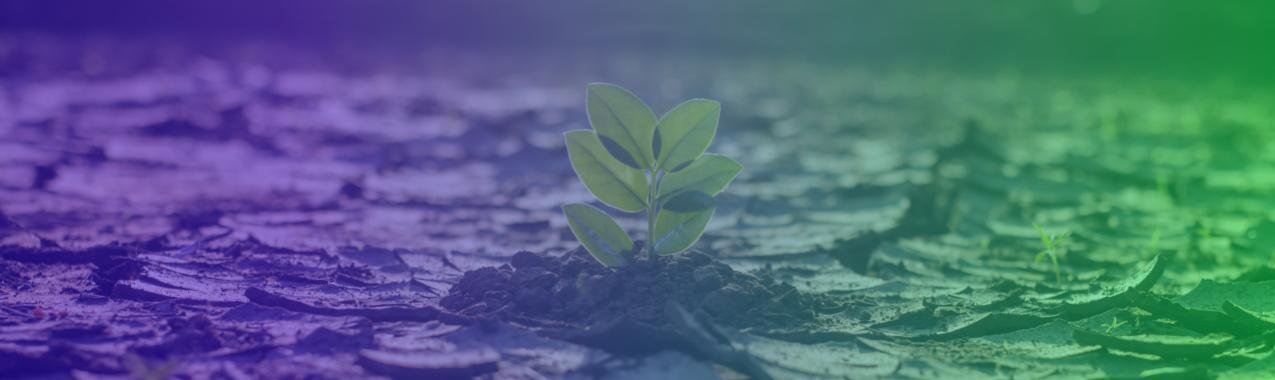 Acclimate - Accelerating Climate Action: Navigating Towards a Low-emissions, Climate-resilient Future