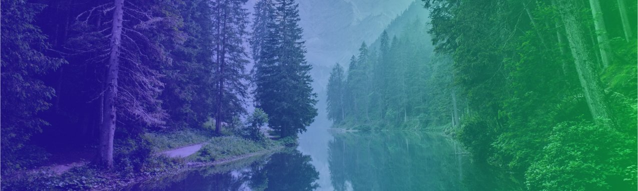 Acclimate contact form